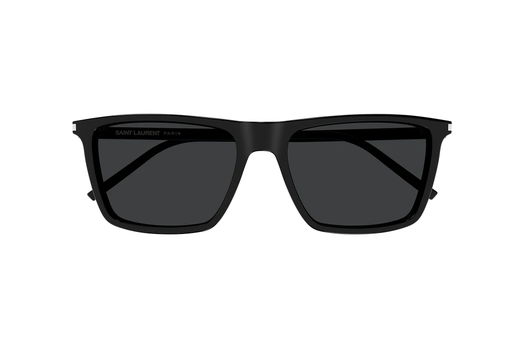 Widok z przodu Saint Laurent SL 668 (001)