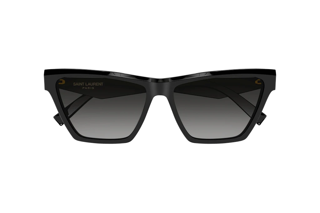 Widok z przodu Saint Laurent SL M103 (001)