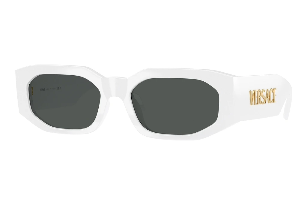 Versace   VE4489U 314/87 Dark GreyWhite