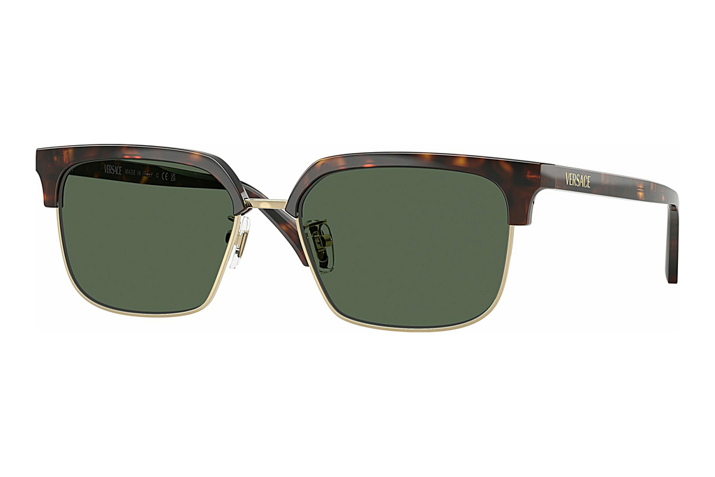 Versace   VE4494D 108/71 Dark GreenDark Havana