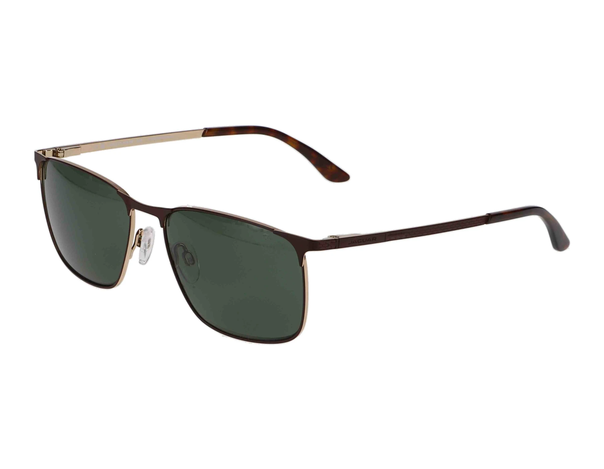 Widok z przodu Jaguar 37369 (2100)
