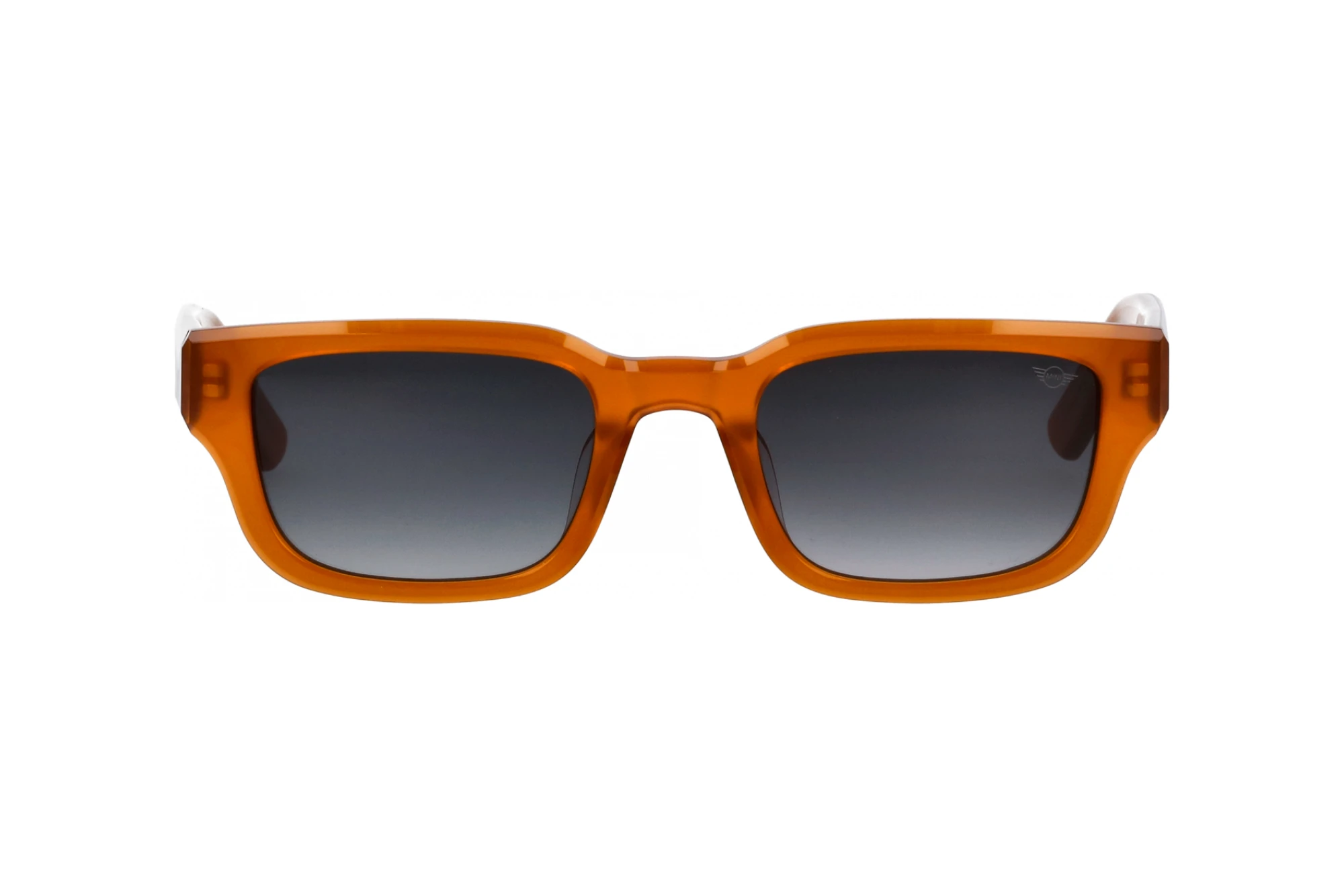 Widok z przodu MINI Eyewear MI 746022 (60)