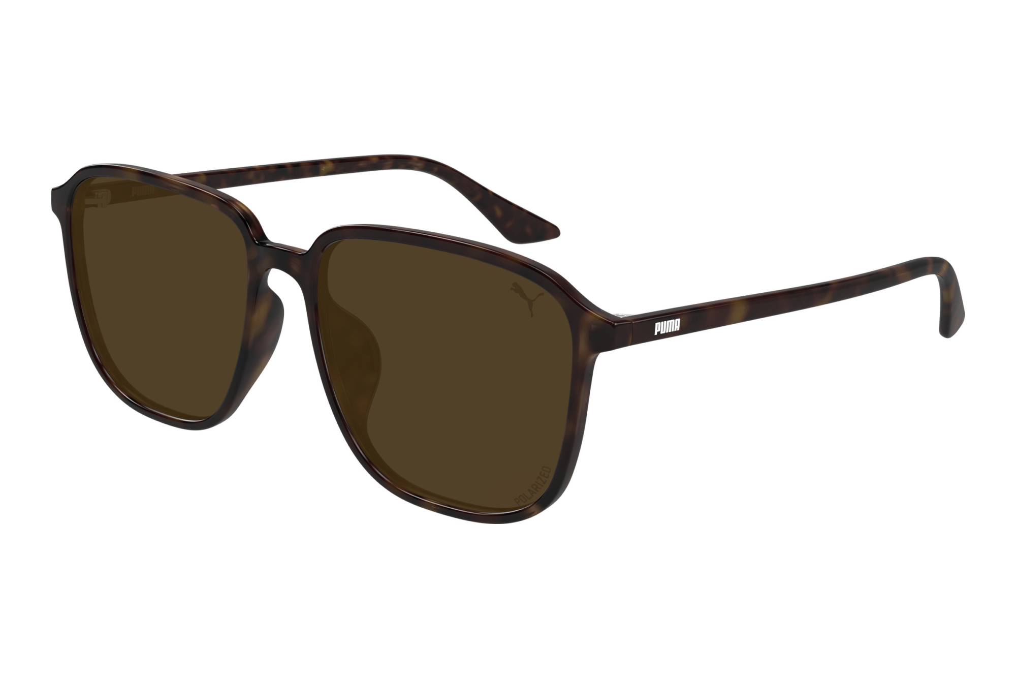 Puma   PU0525SA 004 HAVANA