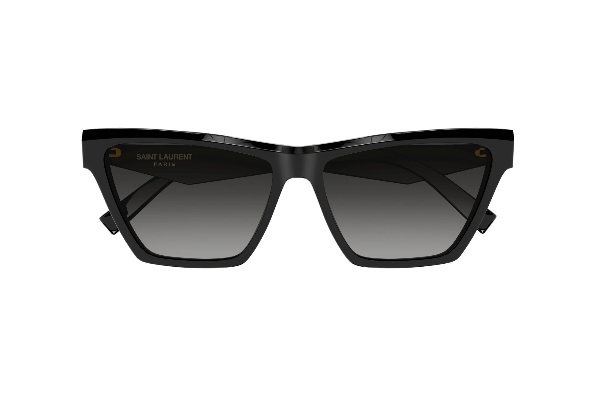 Widok z przodu Saint Laurent SL M103 (001)