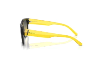 Widok z boku Arnette HAMIE (AN4325 - 27862Q)