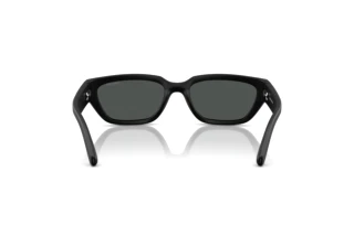 Widok z tyłu Arnette CURBSIDE (AN4350 - 297687)