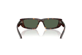 Widok z tyłu Arnette AL (AN4357 - 122271)