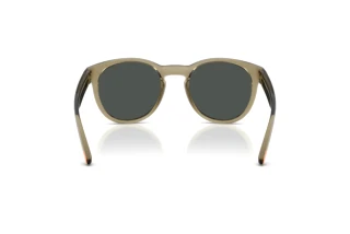 Widok z tyłu Arnette AN4371 (303187)