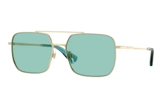Widok z przodu Burberry BE3179 (110972)