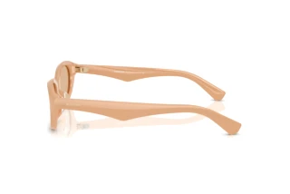 Widok z boku Burberry BE4447D (415073)