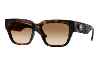 Widok z przodu Burberry BE4506U (300289)