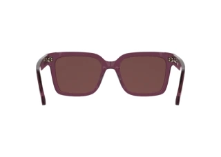 Widok z tyłu Calvin Klein CKJ26301S (208)