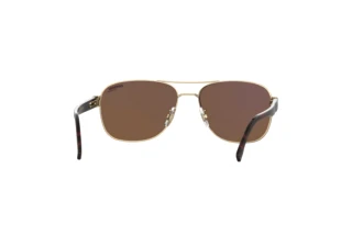 Widok z tyłu Carrera C FLEX 02/G/S (J5G/YL)