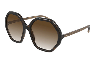 Chloé CH0008S 004 HAVANA