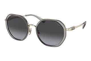 Coach HC7141 90058G Grey GradientTransparent Grey