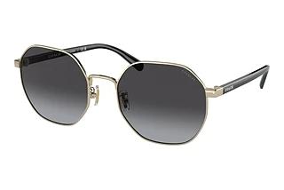Coach CH556 HC 7147 90058G