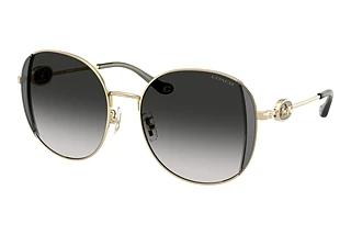 Coach CAD73 HC 7176B 90053C