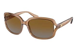 Coach HC8169 5561T5 Brown Grey Gradient PolarTransparent Brown