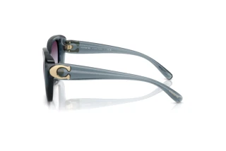 Widok z boku Coach CAD33 (HC8422U - 5871U7)