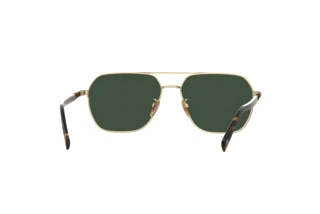 Widok z tyłu David Beckham DB 1128/G/S (06J/QT)