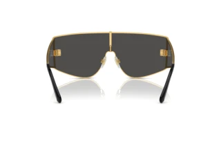 Widok z tyłu Dolce & Gabbana DG2305 (02/87)