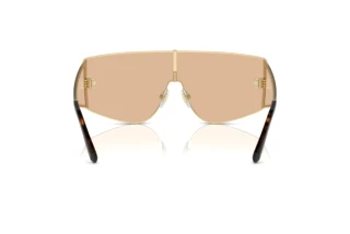 Widok z tyłu Dolce & Gabbana DG2305 (13655A)
