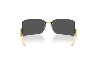 Widok z tyłu Dolce & Gabbana DG2319 (02/87)