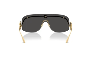 Widok z tyłu Dolce & Gabbana DG2320 (02/87)