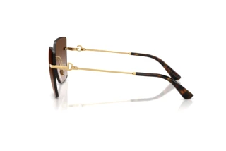 Widok z boku Dolce & Gabbana DG2321 (02/13)