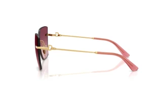 Widok z boku Dolce & Gabbana DG2321 (02/8D)