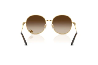 Widok z tyłu Dolce & Gabbana DG2324 (02/13)