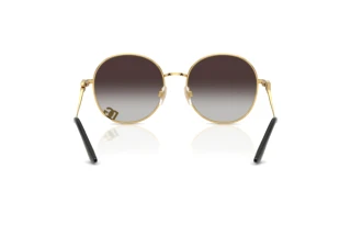 Widok z tyłu Dolce & Gabbana DG2324 (02/8G)