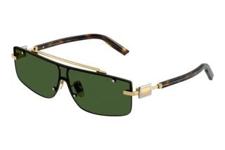 Widok z przodu Dolce & Gabbana DG2335 (02/71)