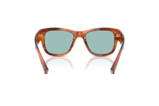 Widok z tyłu Dolce & Gabbana DG4338 (322180)