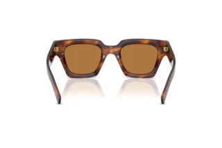 Widok z tyłu Dolce & Gabbana DG4413 (306373)