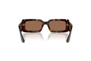 Widok z tyłu Dolce & Gabbana DG4416 (193573)