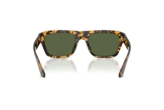 Widok z tyłu Dolce & Gabbana DG4496 (333071)