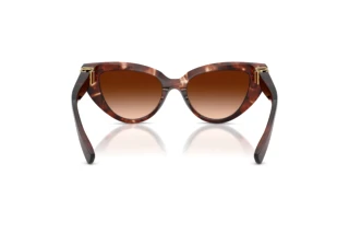 Widok z tyłu Dolce & Gabbana DG4497 (322274)