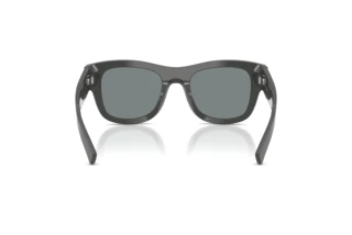 Widok z tyłu Dolce & Gabbana DG4509 (3090/1)