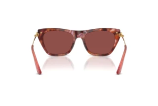 Widok z tyłu Dolce & Gabbana DG4511 (344475)