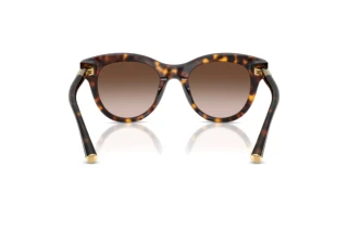 Widok z tyłu Dolce & Gabbana DG4518 (502/13)