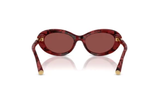 Widok z tyłu Dolce & Gabbana DG4519 (346375)