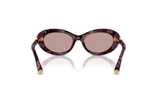 Widok z tyłu Dolce & Gabbana DG4519 (34647N)