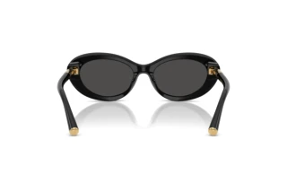 Widok z tyłu Dolce & Gabbana DG4519 (501/87)