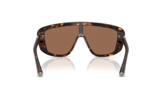 Widok z tyłu Dolce & Gabbana DG4520 (502/73)