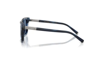 Widok z boku Dolce & Gabbana DG4521 (344880)