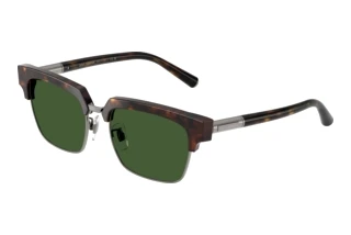 Widok z przodu Dolce & Gabbana DG4522 (502/71)