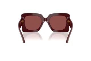 Widok z tyłu Dolce & Gabbana DG4525B (309175)