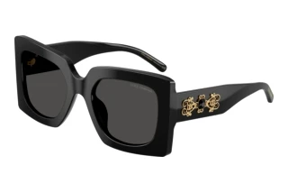 Widok z przodu Dolce & Gabbana DG4525B (501/87)