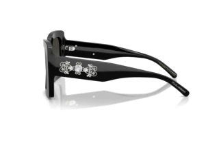 Widok z boku Dolce & Gabbana DG4525B (501/88)